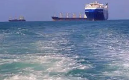 “أسبيدس”: إنقاذ طاقم سفينة شحن في البحر الأحمر بعد ارسال إشارة استغاثة