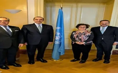 وزير الشئون النيابية يلتقي نائب المفوض السامي لحقوق الإنسان في جنيف