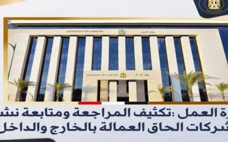 وزارة العمل: تكثيف المراجعة ومتابعة نشاط شركات إلحاق العمالة بالخارج والداخل