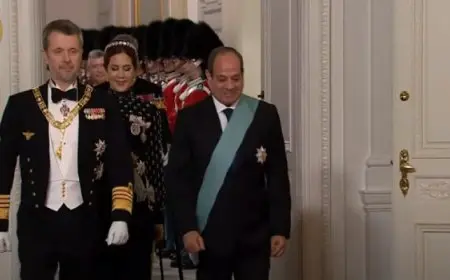 خلال حضوره حفل عشاء .. الرئيس السيسي : أهداف مصر والدنمارك فرصة ثمينة لتعزيز التعاون وصولا إلى الآفاق الاستراتيجية