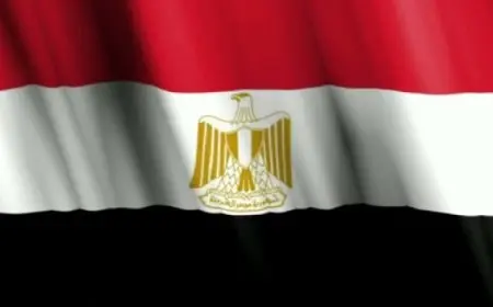 مصر تنفي مزاعم صحيفة ” Wall Street Journal “حثها الرئيس السوري على مغادرة البلاد