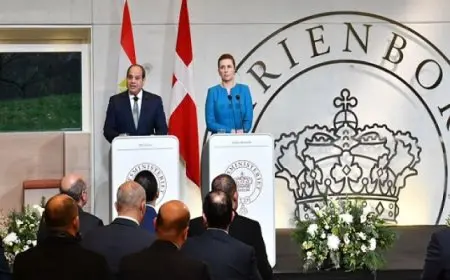 بال وال.. خلال المؤتمر الصحفي المشترك .. الرئيس السيسي : المباحثات مع رئيسة وزراء الدنمارك شهدت تفاهماً مشتركاً للارتقاء بالعلاقات الثنائية