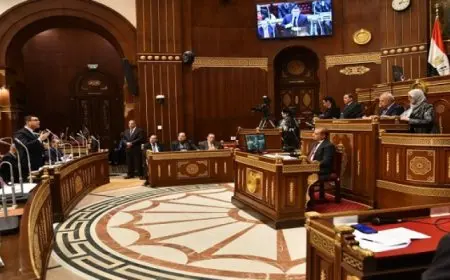 “الشيوخ” يوافق مبدئيا على مواد بمشروع قانون إجراءات التصرف في أملاك الدولة