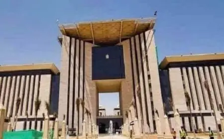 مصر تتابع باهتمام كبير التغير في سوريا وتؤكد دعمها لسيادة ووحدة الأراضي السورية