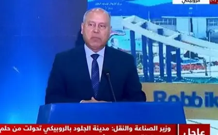 كامل الوزير : الروبيكي أول مدينة متخصصة في الجلود بالشرق الأوسط وإفريقيا بدعم الرئيس السيسي