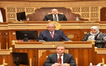 المستشار محمود فوزي وزير الشئون النيابية والقانونية والتواصل السياسي، يشارك بجلسة مجلس الشيوخ