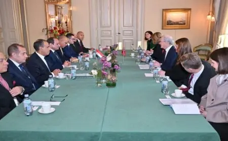 بال وال .. الرئيس السيسي ورئيس وزراء النرويج يؤكدان أهمية التشاور السياسي إزاء القضايا الإقليمية والدولية