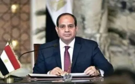 الرئيس السيسى يصدق على قانون إنشاء المجلس الوطنى للتعليم والبحث والابتكار