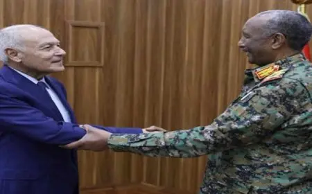 أبو الغيط يؤكد حرص الجامعة العربية على مواكبة السودان في جهود استعادة السلام