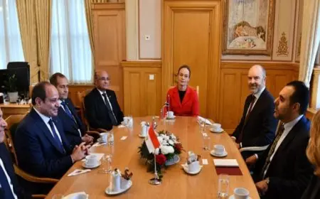 بال .. الرئيس السيسي يلتقي رئيس البرلمان النرويجي ويؤكد تعزيز التعاون البرلماني بين البلدين
