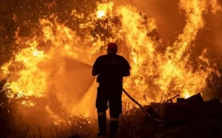 الحرائق تحاصر مدينة أمريكية والسكان يفرون