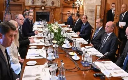 الرئيس السيسي يبحث مع رئيس الوزراء الأيرلندي تعزيز علاقاتهما الثنائية في شتى المجالات