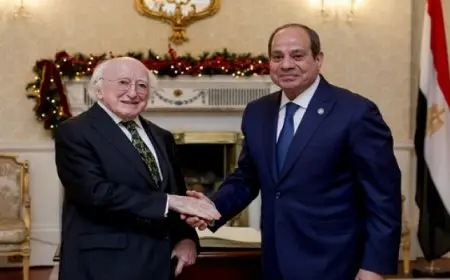 السيسي يبحث مع نظيره الأيرلندي القضية الفلسطينية والأزمة السورية وتطوراتها الأخيرة