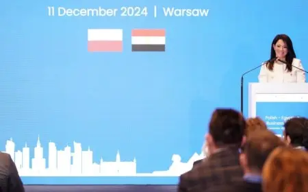 المشاط : تمكين القطاع الخاص وبناء اقتصاد جاذب للاستثمارات جزء رئيسي من رؤية الحكومة