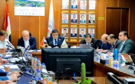 بال .. هيئة المحطات النووية لتوليد الكهرباء تعقد اجتماعات لتعزيز تقدم الأعمال بمشروع محطة الضبعة النووية