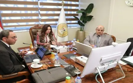 بال .. وزيرة التنمية المحلية تتابع مع محافظي قنا والغربية مستجدات ملفي التصالح علي مخالفات البناء والتقنين في إقامة أسواق اليوم الواحد