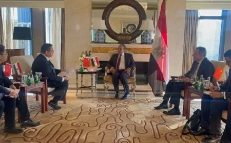 وزير الخارجية والهجرة يلتقي بنائب رئيس شركة “جريت وول” الصينية لصناعة السيارات