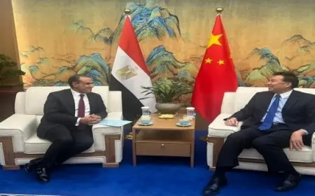 بال .. وزير الخارجية يثمن دور”الوكالة الصينية للتعاون الإنمائي الدولي” في دعم المشروعات الكبرى في مصر