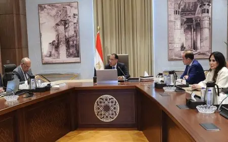 رئيس الوزراء يتابع جهود توفير احتياجات قطاع الكهرباء استعدادا لفصل الصيف المقبل