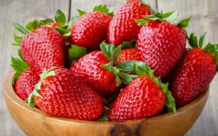 10 فوائد صحية لتناول الفراولة فى الشتاء