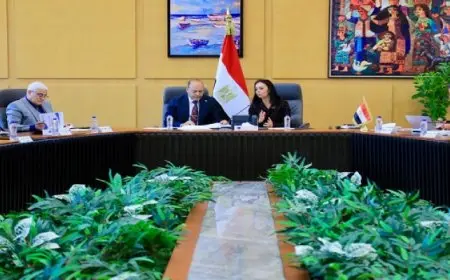 وزيرا التضامن الاجتماعي والعمل يترأسان الاجتماع الأول للجنة الحماية الاجتماعية