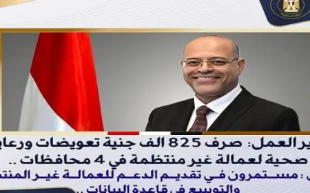 وزير العمل: صرف 825 الف جنية تعويضات ورعاية صحية لعمالة غير منتظمة في 4 محافظات