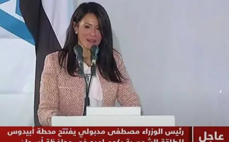 المشاط : مصر منصة مهمة للتعاون بين الشركاء المختلفين لدفع العمل نحو التحول إلى الاقتصاد الأخضر
