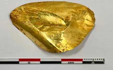 نصوص ومناظر طقسية لمعبودات تظهر لأول مرة بمنطقة البهنسا