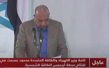 وزير الكهرباء: اتخذنا إجراءات عديدة لتنفيذ رؤية شاملة ومتكاملة للاستفادة من الطاقات المتجددة