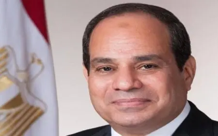 الرئيس السيسي يعرب لنظيره البرازيلي عن تمنياته بالشفاء العاجل