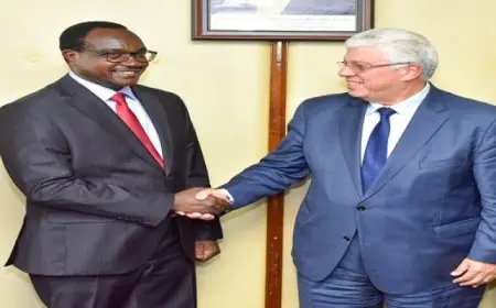 د. أيمن عاشور يبحث تعزيز التعاون مع كينيا لتطوير التعليم العالي في إفريقيا