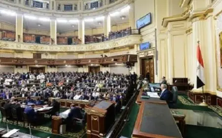 مجلس النواب يوافق على اتفاقية مع مكتب أبو ظبي للصادرات لتمويل توريد القمح إلى هيئة السلع التموينية