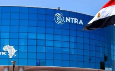 تنظيم الاتصالات : اتخاذ الإجراءات القانونية ضد شركتين للعقارات لإجرائهما مكالمات ترويجية