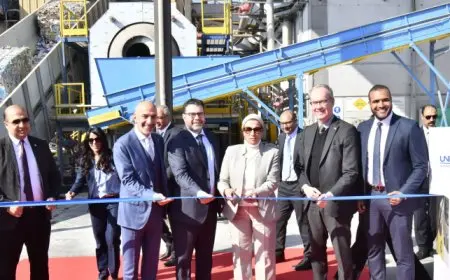 بال .. البيئة تفتتح أول خط إنتاج في مصر لإعادة تدوير عبوات الكرتون المستخدمة بمصنع يونيبورد بمدينة السادات