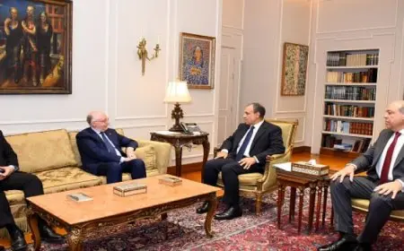 بال .. وزير الخارجية يستعرض دور مصر البنّاء في تطوير الطيران المدني بالشرق الأوسط وإفريقيا