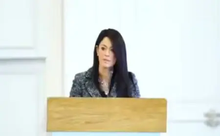 المشاط تفتتح ورشة عمل مجموعة البنك الدولي حول منصة الضمانات الموحدة لدفع الاستثمار الأجنبي في مصر