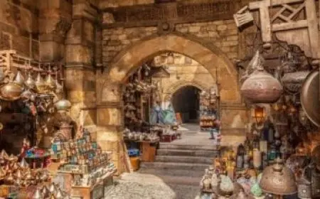 وزير الشؤون النيابية ناعيا الفنان نبيل الحلفاوي: ترك بصمة واضحة في ذاكرة الفن