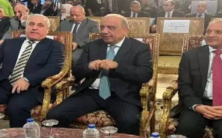 وزير الكهرباء: نحقق 1.2 مليار جنيه وفرًا شهريًا بفضل خفض معدل استهلاك الوقود