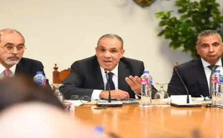 وزير الخارجية يشيد بالعلاقات المصرية – الأوروبية