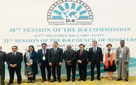 برئاسة مصر.. بدء اجتماعات التحضير لقمة “الثمانى” بالقاهرة وتأييد كامل للمبادرات المصرية