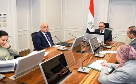 اجتماع افتراضى بين وزير الخارجية والهجرة والمفوضة الأوروبية لإدارة الأزمات