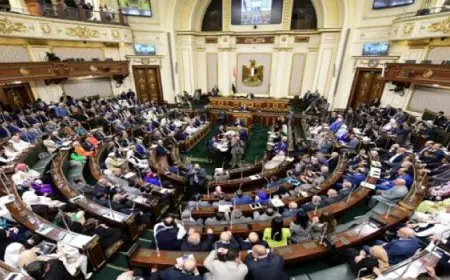 مجلس النواب يستمع اليوم إلى بيان وزير الاستثمار حول خطط الوزارة لجذب المستثمرين