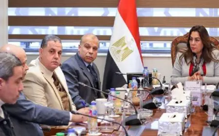 وزيرة التنمية المحلية تعقد اجتماعاً لمتابعة الموقف التنفيذي لتطوير المجازر على مستوى الجمهورية
