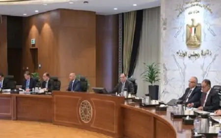 مدبولي يوجه بتشكيل مجموعة عمل للبدء في تنفيذ مقترح الصفقات المتكافئة مع الدول الإفريقية