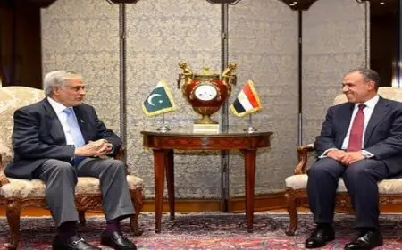 وزير الخارجية ونظيره الباكستاني يشيدان بالدفعة الإيجابية التي تشهدها العلاقات الثنائية