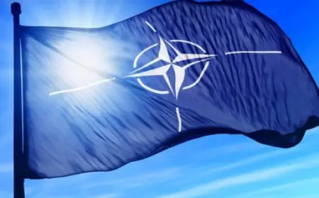 “الناتو” يصدر قائمة تضم 12 مادة خام ضرورية للصناعات الدفاعية