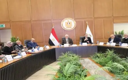 وزير التعليم العالي يترأس اجتماع المجلس الأعلى للتعليم التكنولوجي