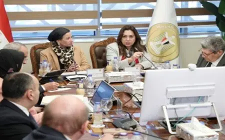 وزيرتا التنمية المحلية والبيئة تتابعان المخطط التنفيذي لتشجير المحاور بمحافظات القاهرة الكبرى