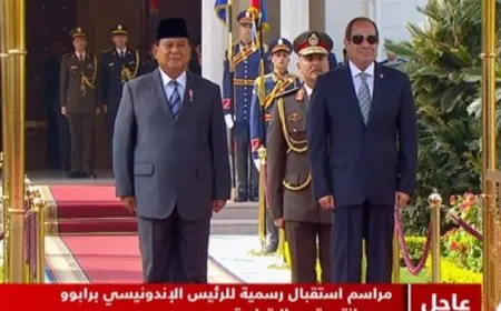 الرئيس السيسي يستقبل نظيره الإندونيسي بقصر الاتحادية