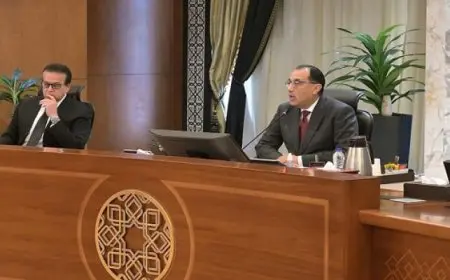 رئيس الوزراء: محطة أبيدوس1 للطاقة الشمسية بأسوان بقدرة 500 ميجاوات وبدء الأعمال الهندسية بمحطة «أبيدوس 2»